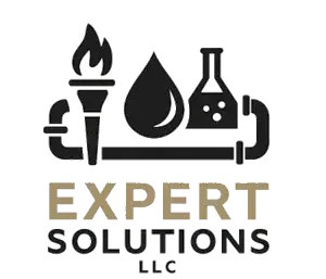 expertSolution