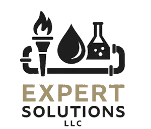 expertSolution